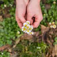 Foto gratuita ritaglia le mani con un mucchio di fiori