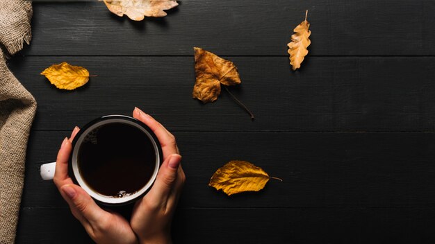 葉や布の近くで紅茶で手作り