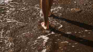 Free photo crop legs walking near sea waves