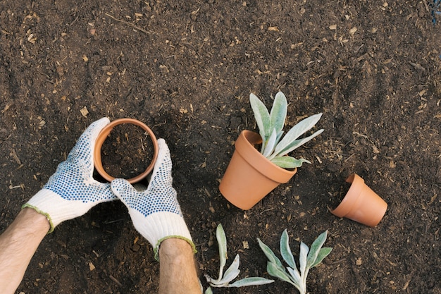 苗を植える手袋の男を作物