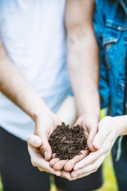 Crop people holding soil