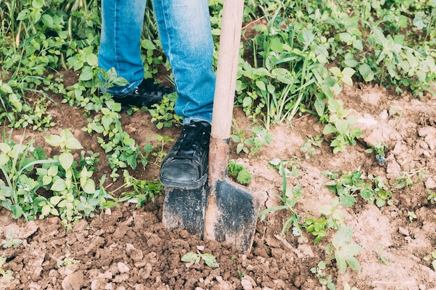 Crop person digging soil