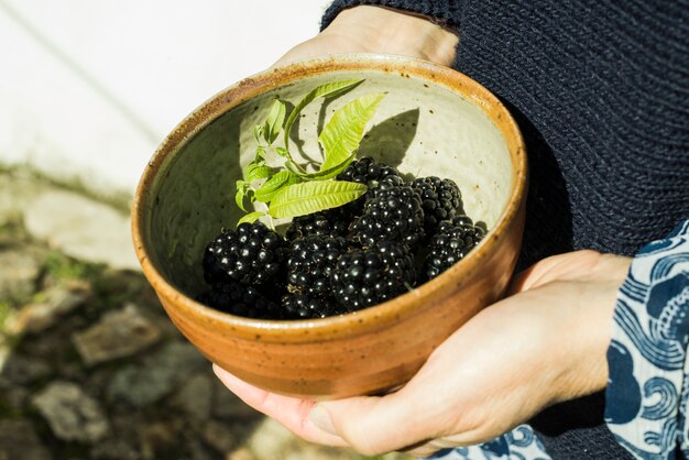 Crop person holding bowl of blackberries