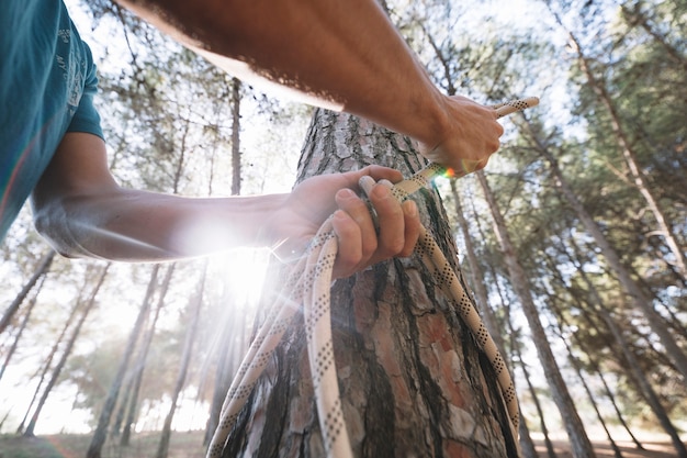 crop person tying rope around tree