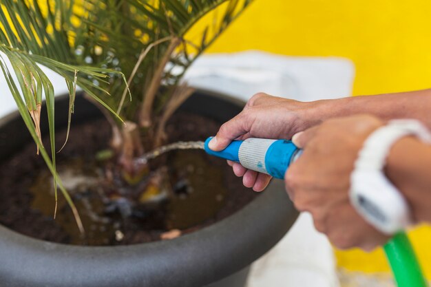 Crop person watering plant