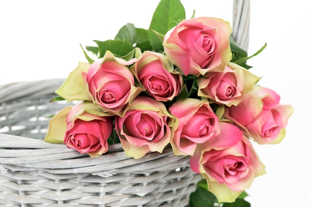 Crop of roses in a Basket on white background