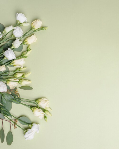 Crop roses on light background