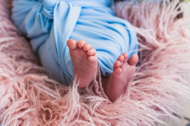 Free Photo crop tiny feet of baby