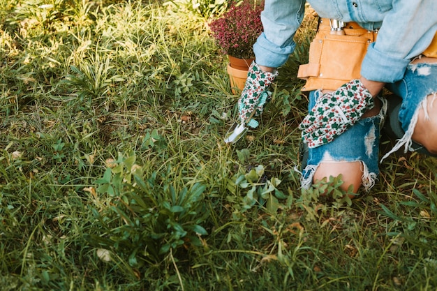 Free photo crop woman cutting grass