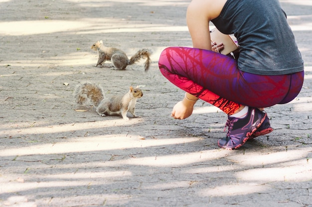 Crop woman feeding squirrels