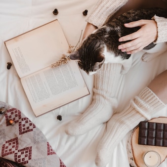 Crop woman petting cat near book and chocolate