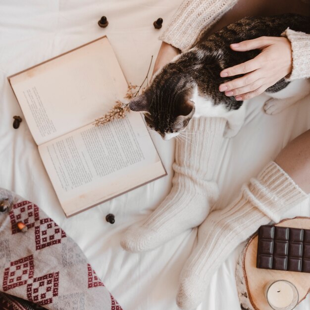 crop woman petting cat near book and chocolate