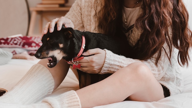 Crop woman petting dog