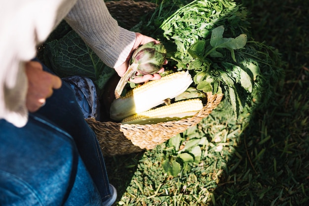 Crop woman taking artichoke from basket