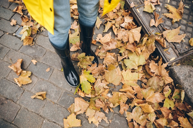 Free photo cropped photo of girl dressed in rubber boots