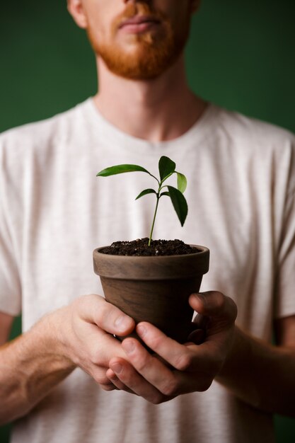 Cropped photo of redhead bearded young man, holding potted plant