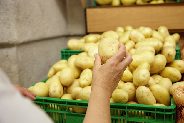 Cropped portrait of senior Caucasian woman stretching hand with big potato in it, ready to put it in her basket while shopping in supermarket, looking for vegetables for cooking family dinner