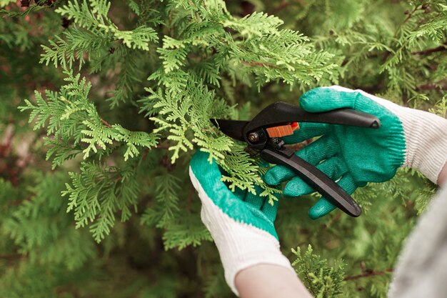 植物をトリミングしながら保護手袋を着用している園芸労働者のトリミングされたビュー