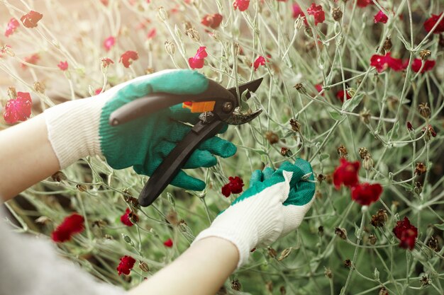 Cropped view of gardening worker wearing protective gloves while trimming plants