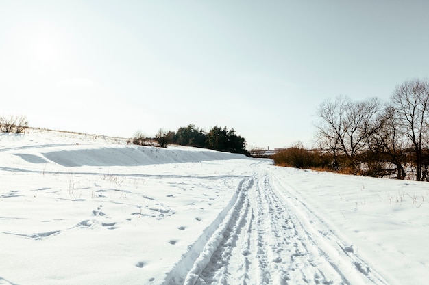 Cross country ski tracks on snowy landscape in winter