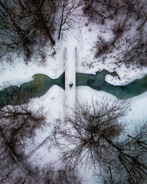 Free photo cross country skiing in the woods