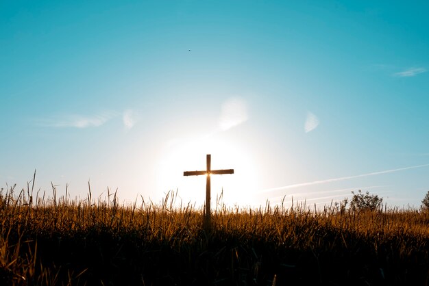 Cross in a field