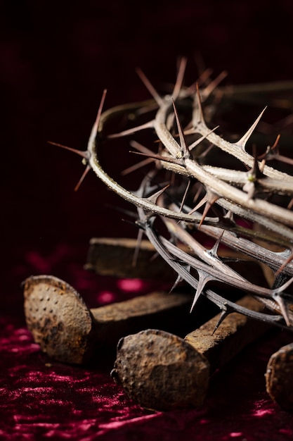 Crown of thorns and rusty nails high angle