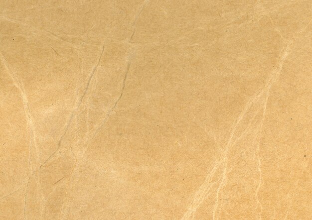 Crumpled Sepia Paperboard