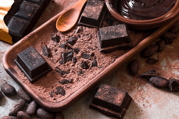 ココアパウダーのチョコレートチョコレートチョコレートソース