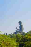 Free photo culture large asian buddah head