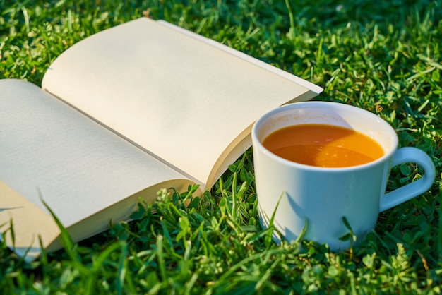 Tazza di caffè con un libro aperto accanto ad essa sul prato