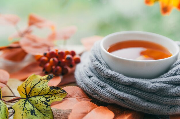 Cup in knitted scarf with autumn leaves