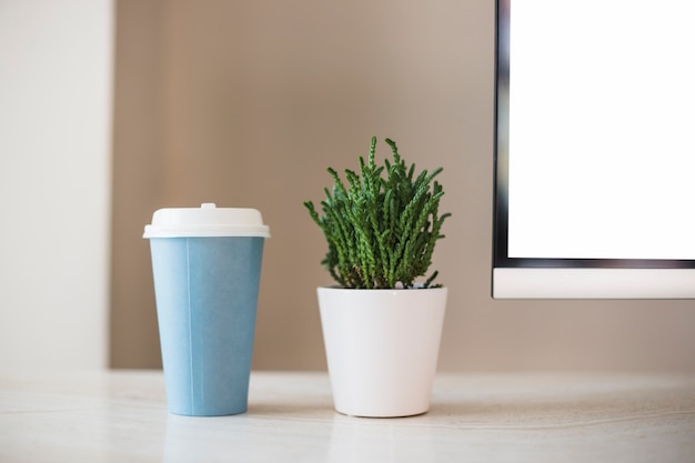 Cup near plant in pot near tv