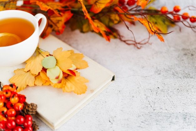 Free photo cup of tea and fallen leaves on light surface