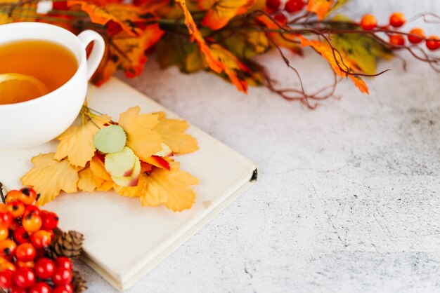 Cup of tea and fallen leaves on light surface