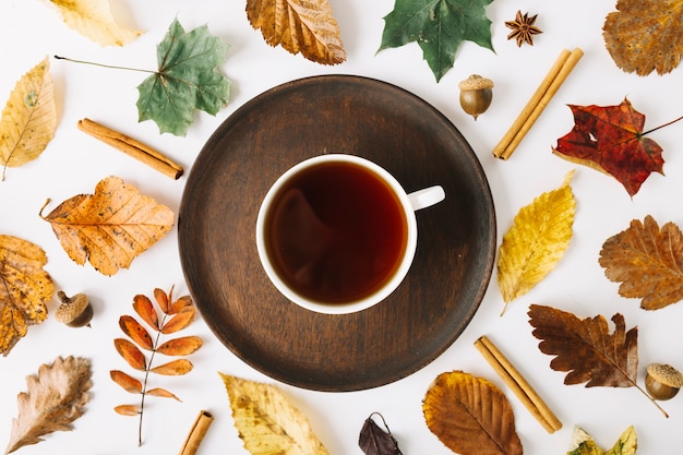 Cup of tea on plate among leaves