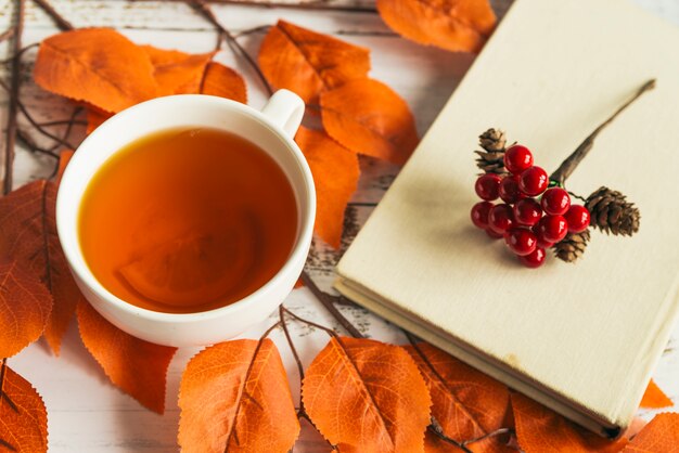 Cup with lemon tea and book 