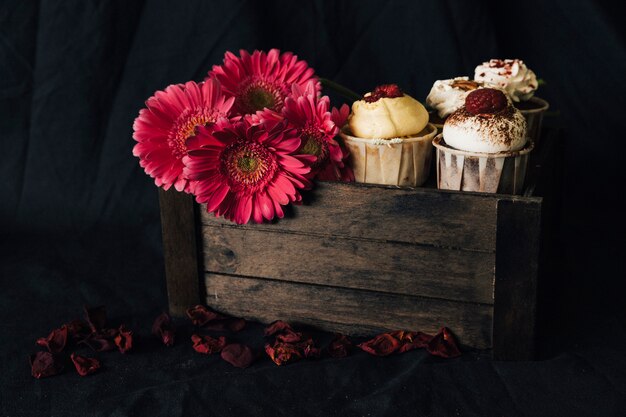 Cupcake still life