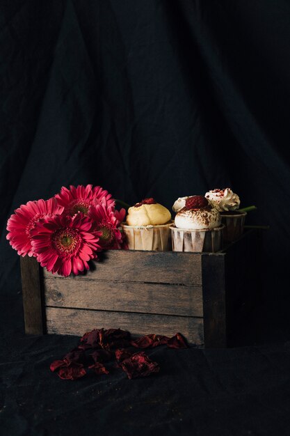 Cupcake still life