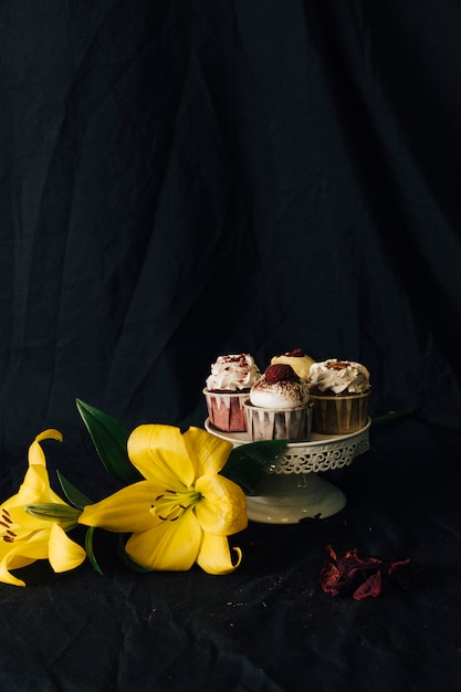 Foto gratuita cupcake still life