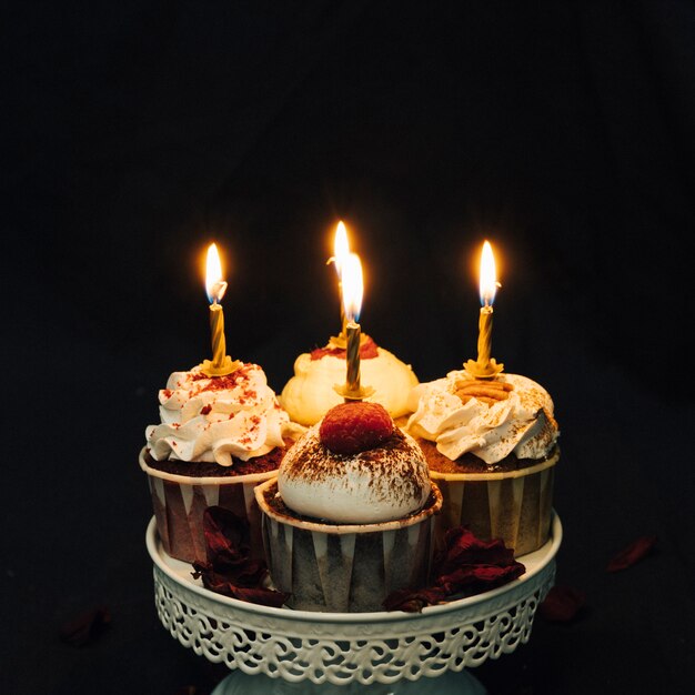 Cupcake still life