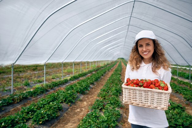 Curly brunette is holding big basket with strawberries