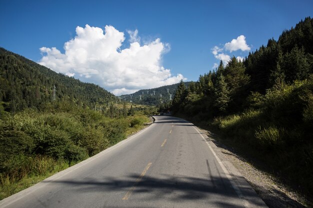 両側の山と道路上の曲線