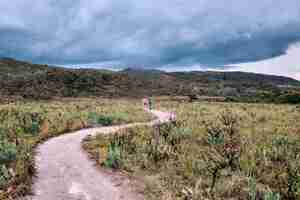 Free photo curvy pathway surrounded by hills covered in greenery under a cloudy sky