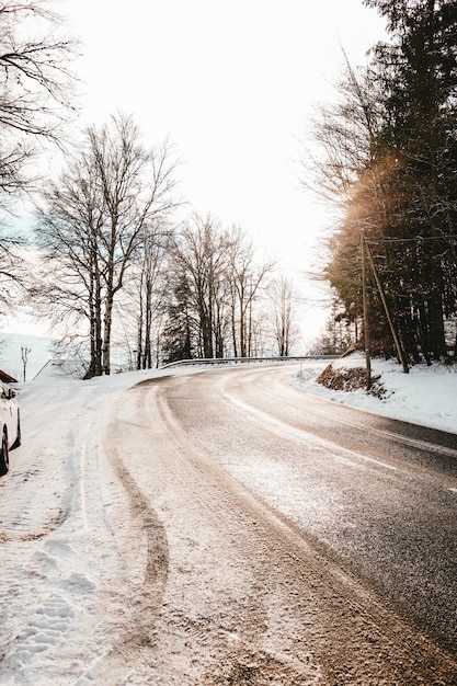 Curvy road covered in dirt and snow surrounded by trees under sunlight