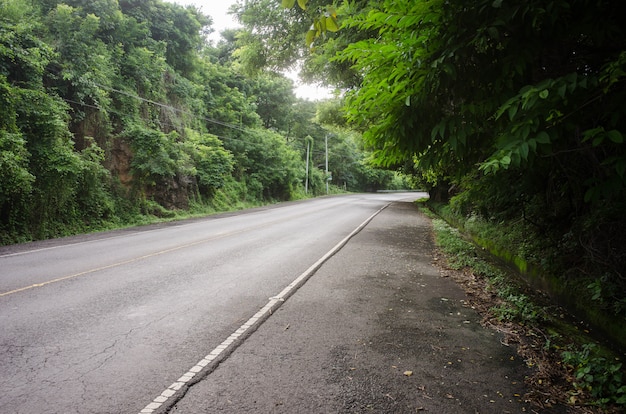 曲がりくねった道は田舎の森の緑に囲まれています