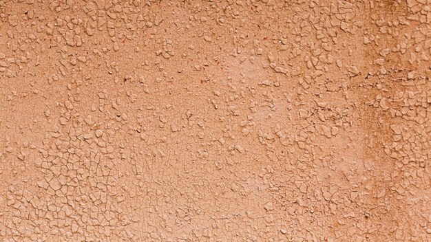 Cut out salmon paint of a wall texture