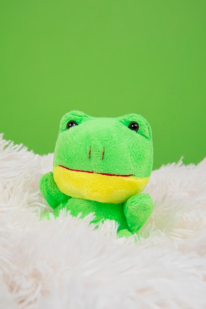 무료 사진 귀엽고 푹신한 개구리 장난감