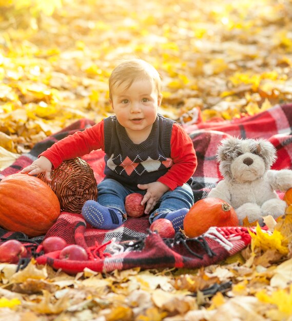 Cute baby with teddy bear on a blanket