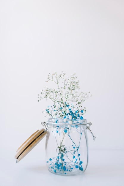 Free photo cute blue flowers in glass